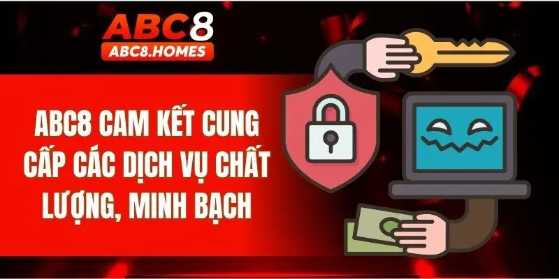 ABC8 cam kết cung cấp các dịch vụ chất lượng, minh bạch