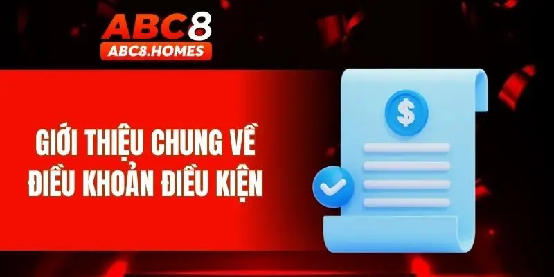 Giới thiệu chung về điều khoản điều kiện ABC8