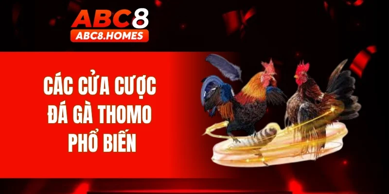 Các cửa cược đá gà Thomo phổ biến