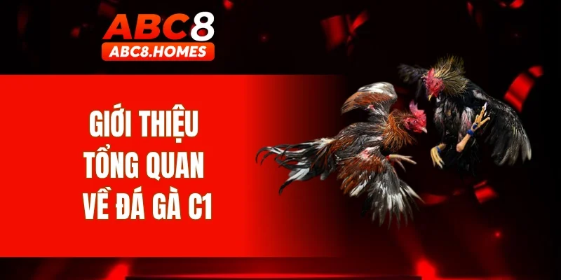 Giới thiệu tổng quan về đá gà C1