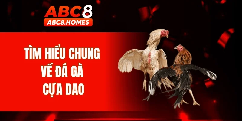 Tìm hiểu chung về đá gà cựa dao