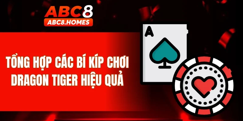 Tổng hợp các bí kíp chơi Dragon Tiger hiệu quả